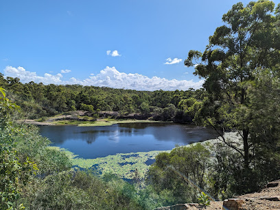 Site featuring trails for nature walks & hikes, educational children's exhibits & a koala enclosure.
