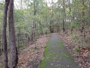 Dog-friendly park offering city views, plus trails, BBQ grills & picnic facilities.