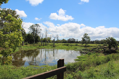 North Harbour Heritage Park & Mountain Bike Trail