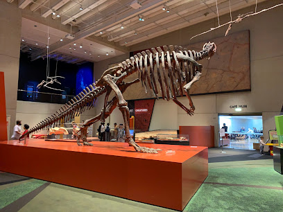 Museum featuring science, culture & natural history exhibits specific to the Queensland region.