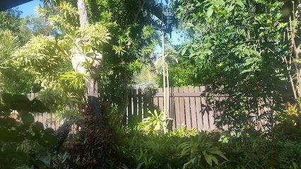 Residential street in The Gap QLD showing leafy suburb with Queensland homes